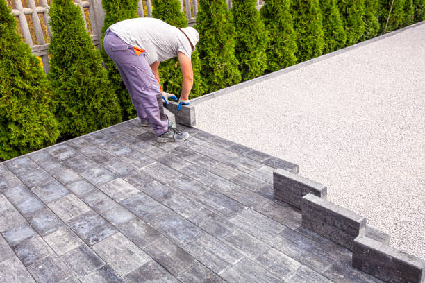 Best Driveway Paving Contractor  in Natalia, TX