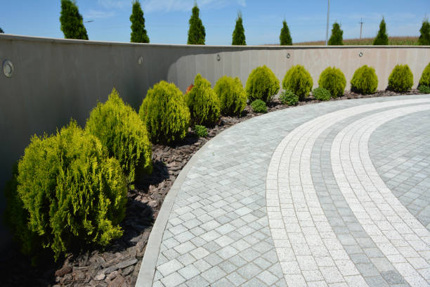Best Custom Driveway Pavers  in Natalia, TX